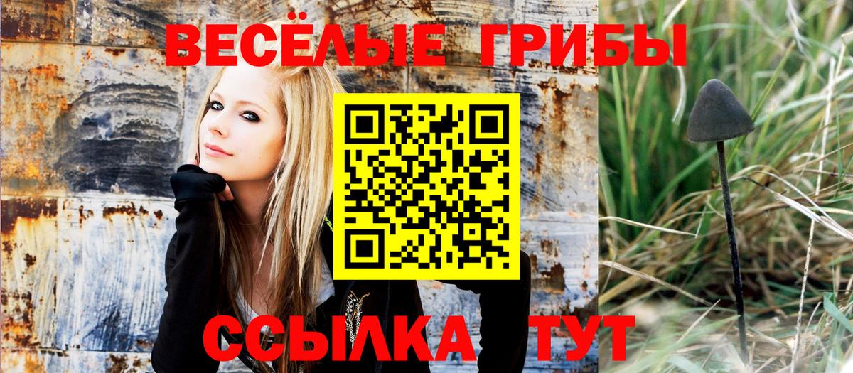 Псилоцибиновые грибы прущие грибы  Вход с VPN  сколько стоит  Родники  Галлюциногенные грибы Psilocybine cubensis 