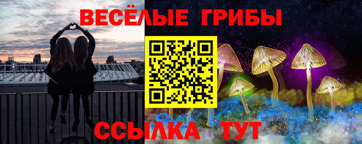 Галлюциногенные грибы прущие грибы Родники